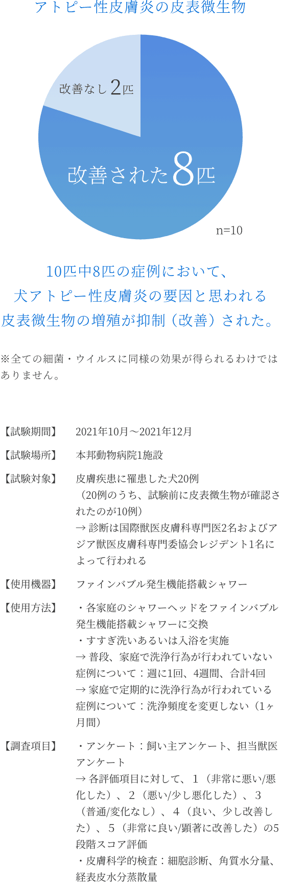 コラム14 experiment02